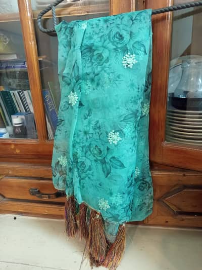 fancy dresses only 1 tym used