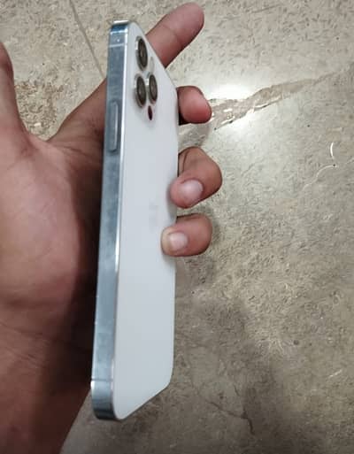 iphone 12 pro white pta approved