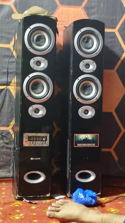 03024973362 Audionic subwoofer Bluetooth spotted