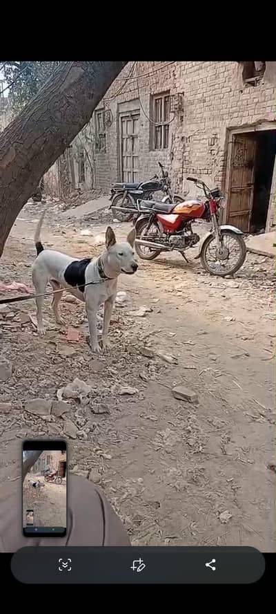 Best for secuirty purpose