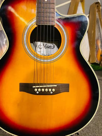 Professional accoustic guitar ( brand new)