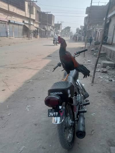 Honda 125 all ok 0332. . 862. . 62. . 42