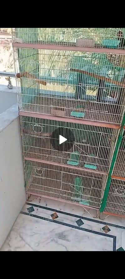 4 porction cage good condition