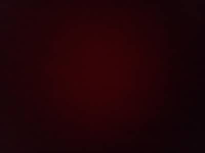 sales exective or agent