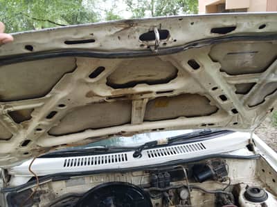 urgent sale Karni hy