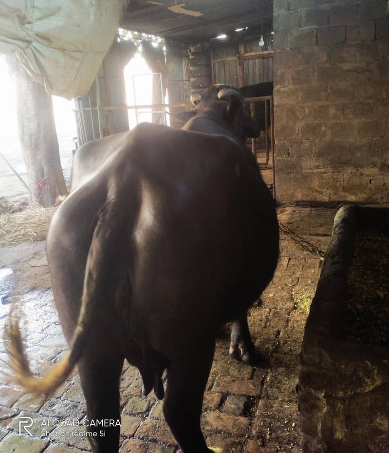 بسم اللہ الرحمن الرحیم 1