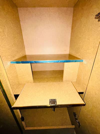 wooden Wardrobe Brown color