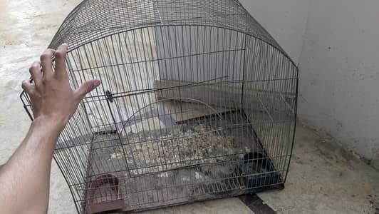 2 cages for sale and Fancy lucky Kabootar male healthy or active