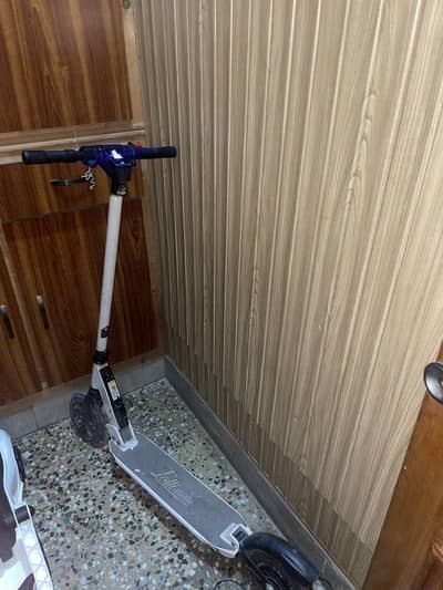 Electric stooty raizer