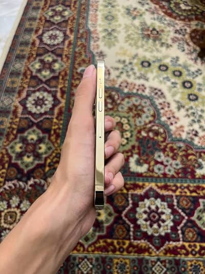 iPhone 13 pro jv non pta non active