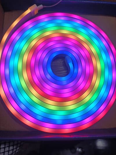 Neon light with USB and mobile app control+remote control