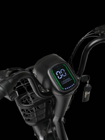 evee flipper not used