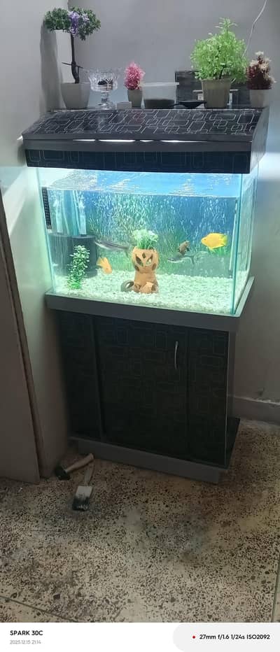2 Feet Aquarium