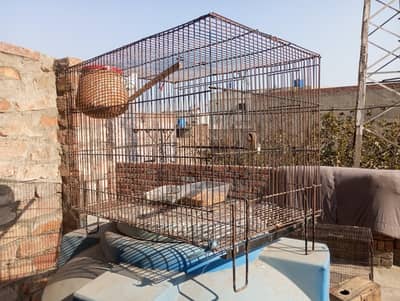 cages