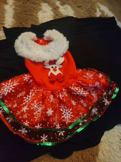 Cats And Dogs Dressess