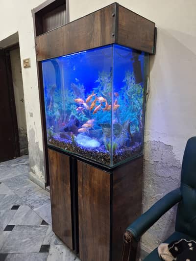Fish aquarium for sale