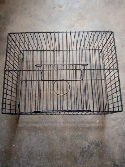Birds Traveling Cage