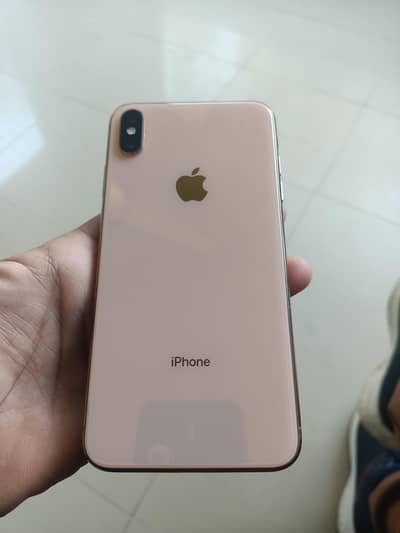 xs max 512 gb