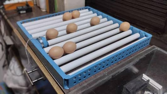 80 Eggs Rolling tray for Incubator