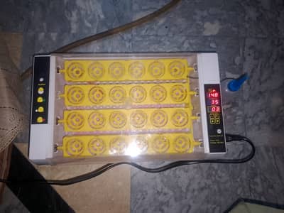 Automatic Digital Egg Incubator | Murghi ke Anday Sehne ki Machine |