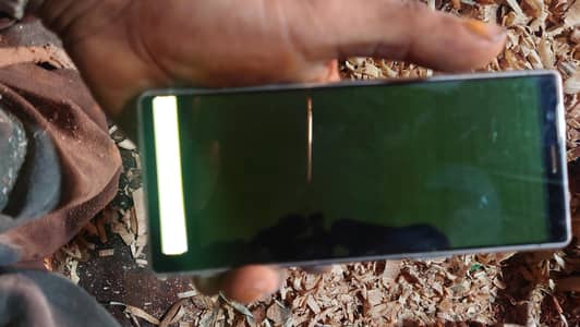 pnal dameg pta aprov