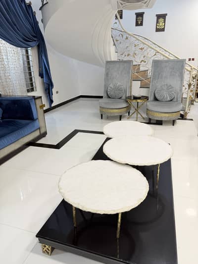 Complete sofa set with table , chairs etc