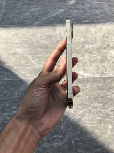 iPhone 13 pro max 256/GB