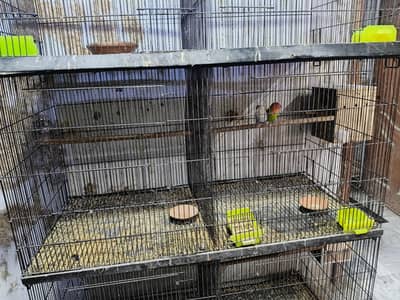 Folding and Fixed Cages