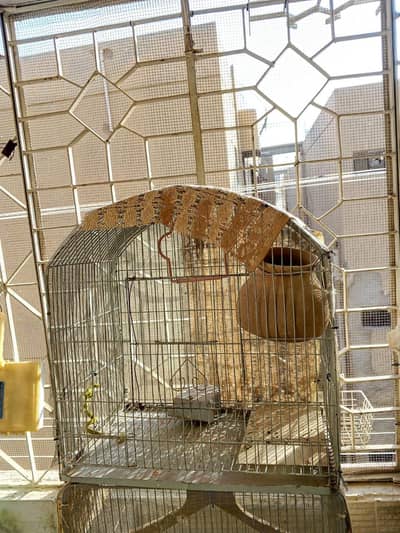Small & big size haeavy cage