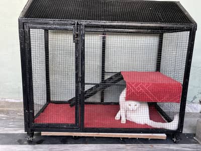 Cat/hen house for sale