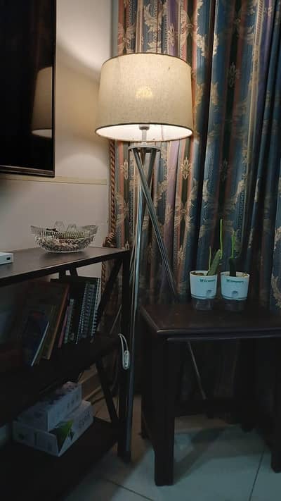 Floor lamps impoted going cheap