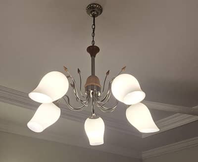 ceiling light for sale