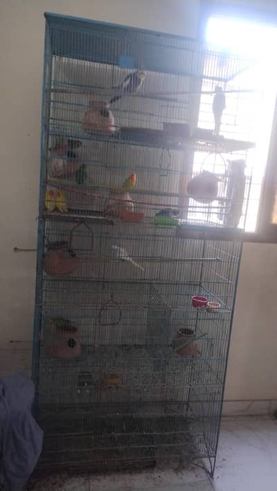 bird cage
