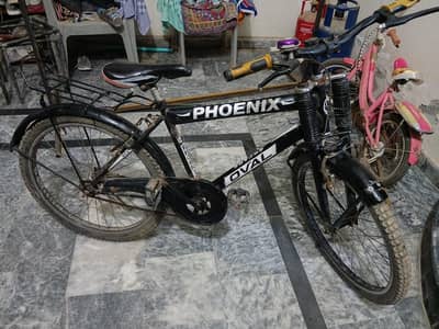 black phoenix cycle only for 10000