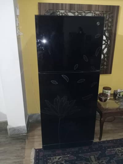 PEL Glass Refrigerator (382 litres) height (1771mm)