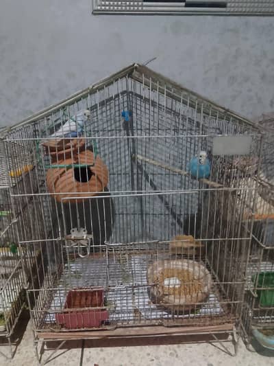 CAGE FOR SALE