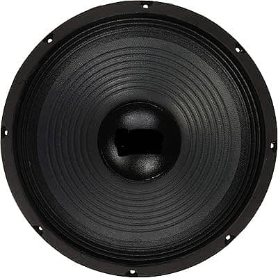 -12 inch speaker amplifier speaker round shape