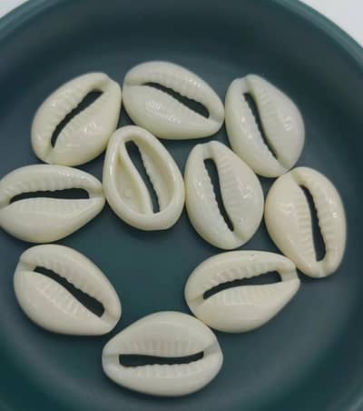 sea shell beads in whole sale