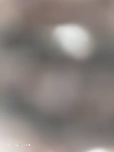 iphone 7 plus non pta finger print not working 10 10 condition