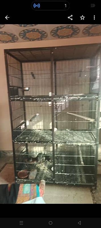 raw gray parrot cage 10 number viar with box