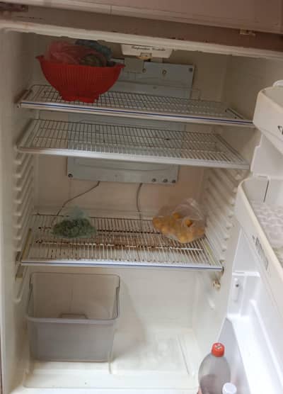 Jumbo size fridge urgent sale