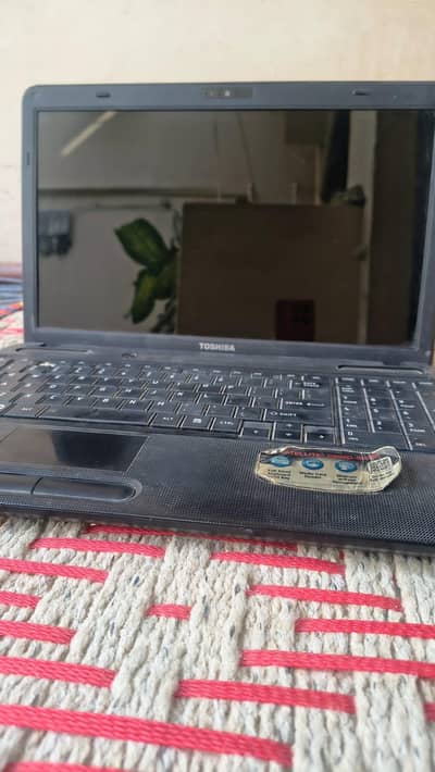 Toshiba Laptop