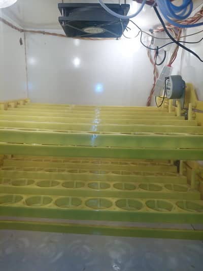 Fully automatic incubator urgent sale