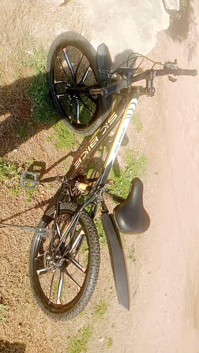 SK bike for sale