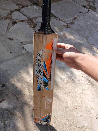 Hard ball bat for under 12 age