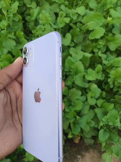 iphone 11 / factory unlock
