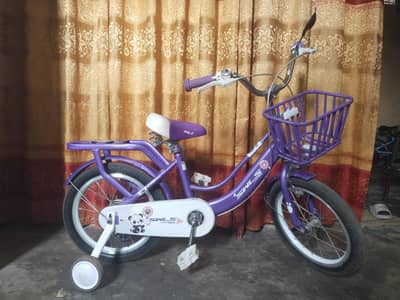 Purple bicycle for girls