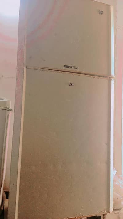 PEL Golden Shine  Large Fridge