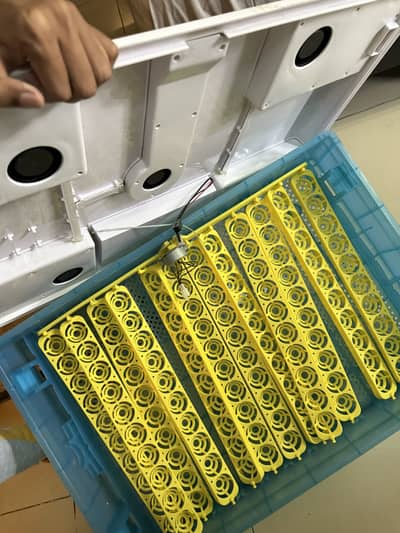 Egg incubator 300