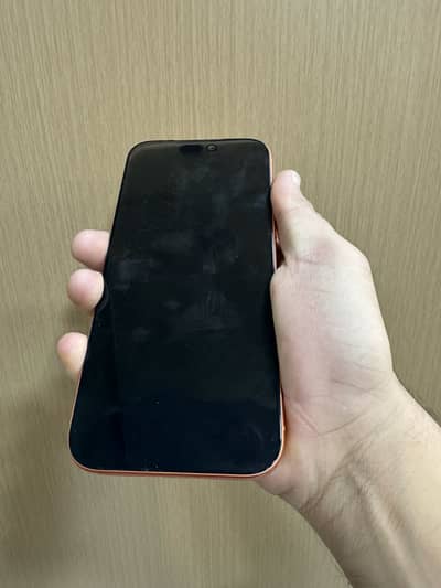 17ProMax 256GB China dual sim non pta screen damage all ok